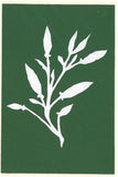 Note Card: Assorted, Scherenschnitte