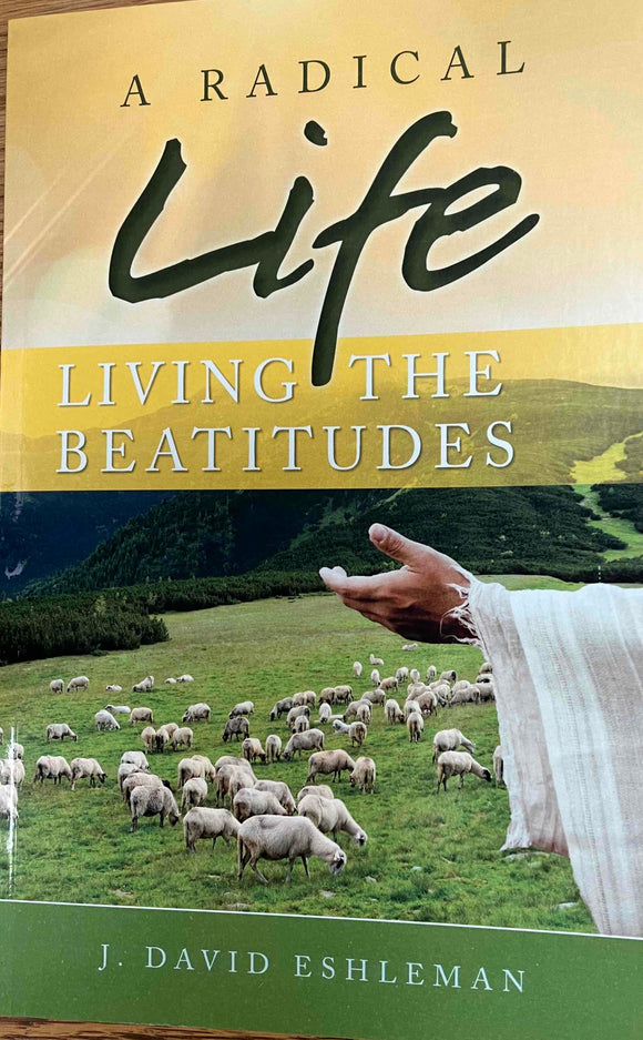 Radical Life: Living the Beatitudes