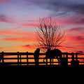 Photo Print: Lancaster County, Matted