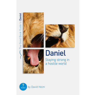 Bible Study: Daniel