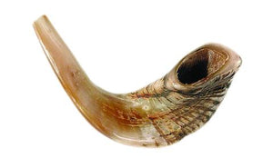 Shofar: Ram Horn