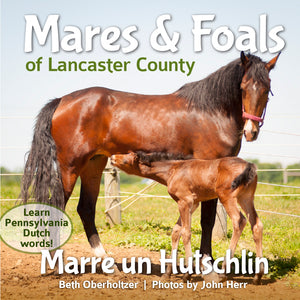 Mares & Foals