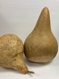 Gourds: Assorted Sizes and Shapes
