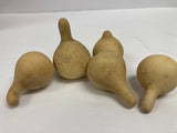 Gourds: Assorted Sizes and Shapes