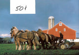 Postcard: Amish Scenes